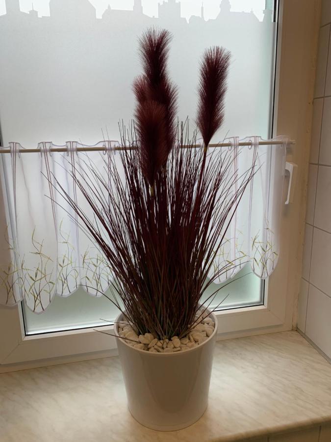 Best-preis Rathausblick 2 - Zentrale Lage In - 2 Personen - Einzelzimmer - Vollausstattung - Wlan / Prime & Self-check-in Apartment